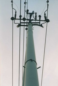 Old Telephone Pole