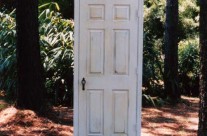 The Mysterious Door in the Woods